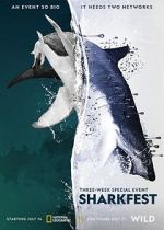 Watch Man vs. Shark zumvo