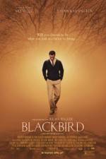 Watch Blackbird zumvo
