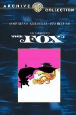 Watch The Fox zumvo
