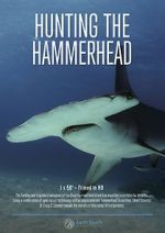 Watch Hunting the Hammerhead zumvo
