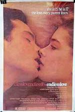 Watch Endless Love zumvo