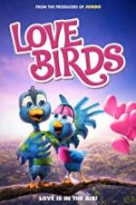 Watch Love Birds zumvo