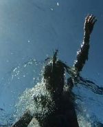 Watch The Swim zumvo