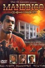 Watch Mandingo zumvo