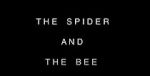 Watch The Spider and the Bee zumvo