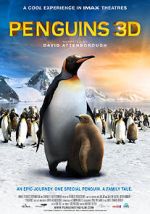 Watch Penguins zumvo