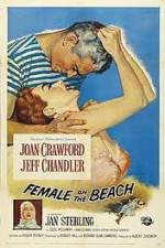Watch Female on the Beach zumvo