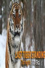 Watch Discovery Channel-Last Tiger Standing zumvo