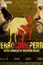 Watch Perro come perro zumvo