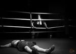 Watch Fight Day zumvo