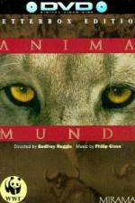 Watch Anima Mundi zumvo