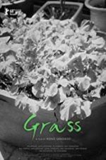 Watch Grass zumvo