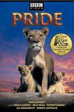 Watch Pride zumvo