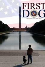 Watch First Dog zumvo