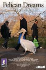 Watch Pelican Dreams zumvo