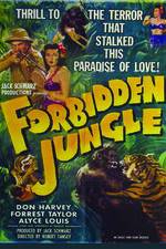 Watch Forbidden Jungle zumvo