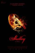 Watch Shelley zumvo