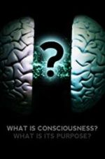 Watch What Is Consciousness? What Is Its Purpose? zumvo