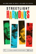 Watch Streetlight Harmonies zumvo