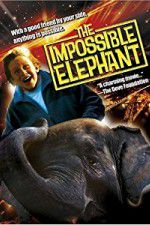 Watch The Incredible Elephant zumvo