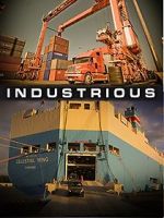 Watch Industrious zumvo