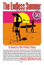 Watch The Endless Summer zumvo