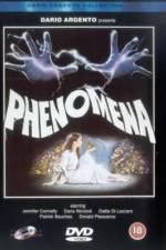 Watch Phenomena zumvo