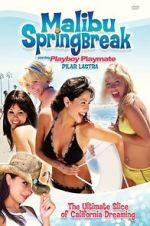 Watch Malibu Spring Break zumvo