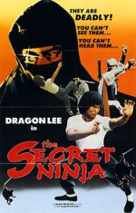 Watch Secret Ninja zumvo