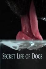 Watch Secret Life of Dog zumvo